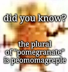 the lowrax | did you know? the plural of "pomegranate" is peomomagreple | image tagged in the lowrax | made w/ Imgflip meme maker