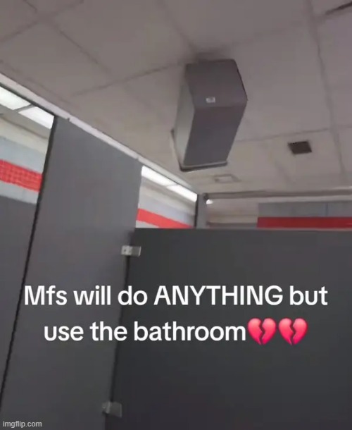 they'll do anything | image tagged in what | made w/ Imgflip meme maker