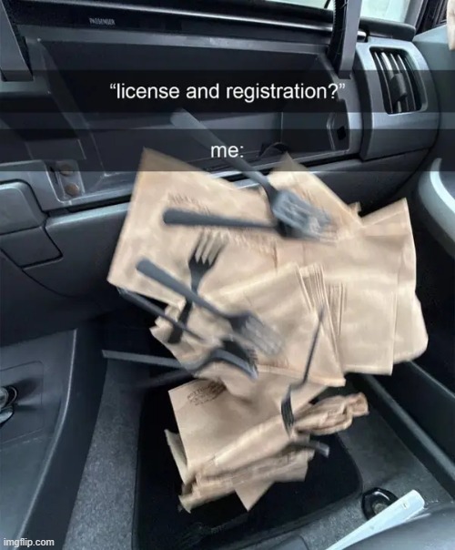 license and registration | image tagged in what | made w/ Imgflip meme maker
