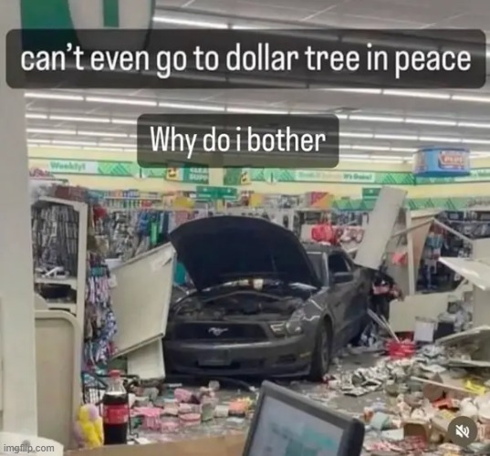 dollar tree | image tagged in what | made w/ Imgflip meme maker