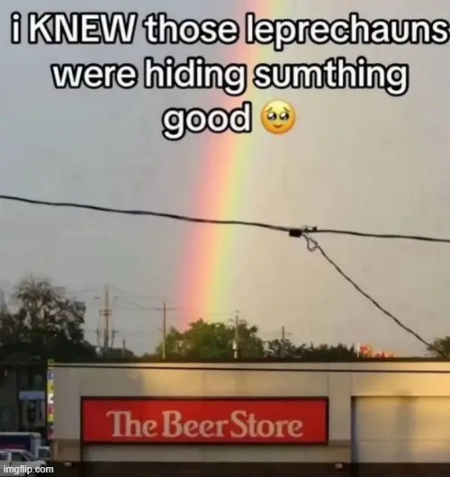 pot (store) of gold (alcohol) | image tagged in what | made w/ Imgflip meme maker