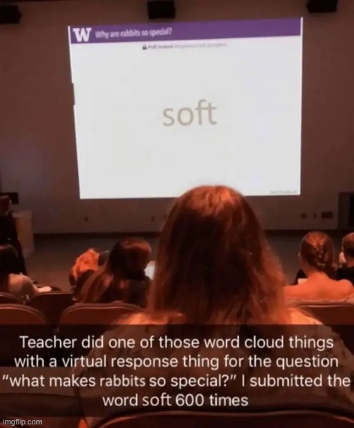 soft | image tagged in what | made w/ Imgflip meme maker