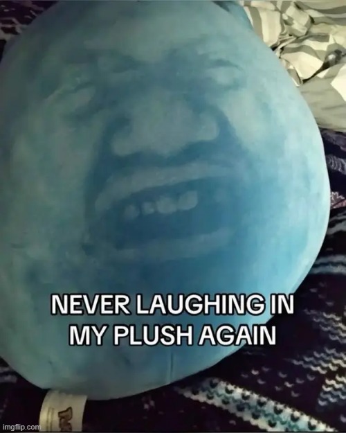 plush | image tagged in what | made w/ Imgflip meme maker