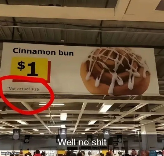 no shit | image tagged in what | made w/ Imgflip meme maker