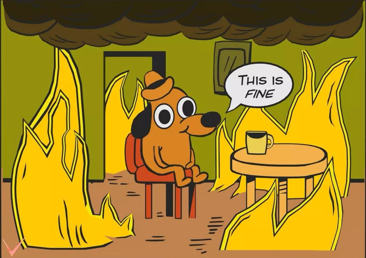 This is fine Australia Blank Meme Template