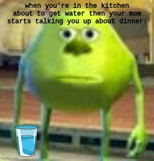 Sully Wazowski | when you're in the kitchen about to get water then your mom starts talking you up about dinner: | image tagged in sully wazowski,meem,idk | made w/ Imgflip meme maker