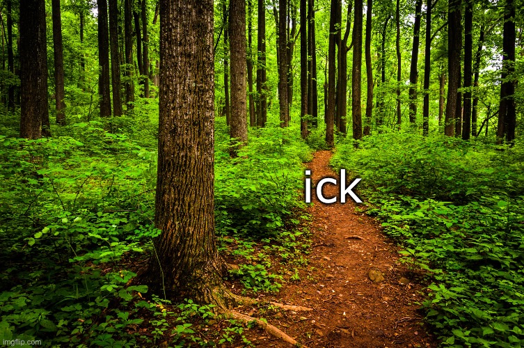forest path | ick | image tagged in forest path | made w/ Imgflip meme maker