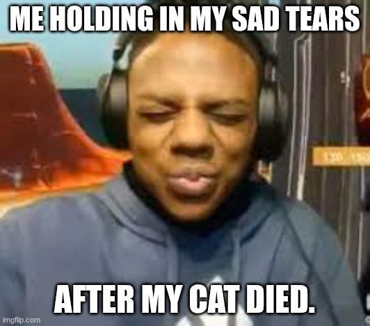 It's ok Dad, I'm just gonna try my hardest not to cry! | ME HOLDING IN MY SAD TEARS; AFTER MY CAT DIED. | image tagged in please speed i need this | made w/ Imgflip meme maker
