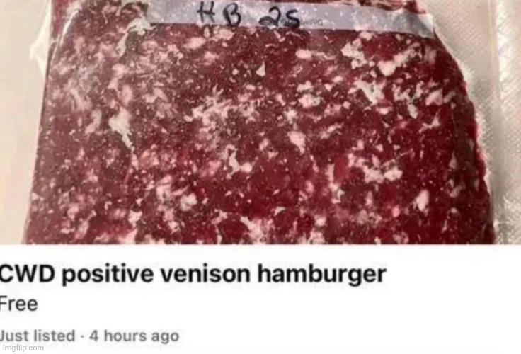 Anyone want hamburgers? | image tagged in idk | made w/ Imgflip meme maker