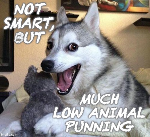 pun dog | NOT SMART, BUT; MUCH LOW ANIMAL PUNNING | image tagged in pun dog,dad joke,silly | made w/ Imgflip meme maker