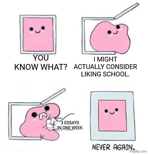 This happened to me last week... | YOU KNOW WHAT? I MIGHT ACTUALLY CONSIDER LIKING SCHOOL. 3 ESSAYS IN ONE WEEK | image tagged in never again,school,essays,essay,why are you reading the tags,stop reading the tags | made w/ Imgflip meme maker