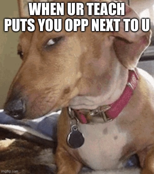 Side eye dog | WHEN UR TEACH PUTS YOU OPP NEXT TO U | image tagged in side eye dog | made w/ Imgflip meme maker