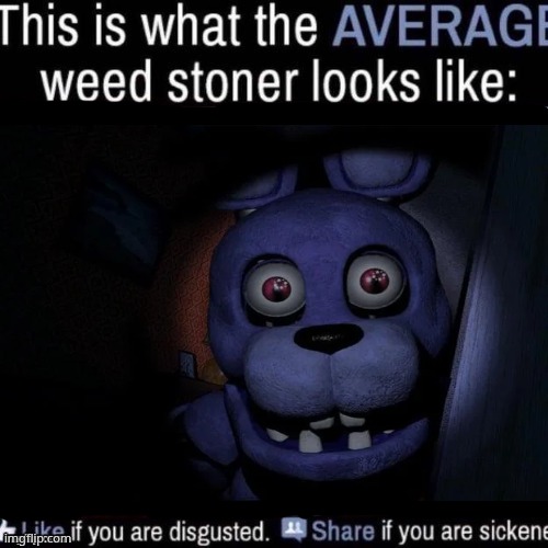 average weed stoner | image tagged in average weed stoner | made w/ Imgflip meme maker