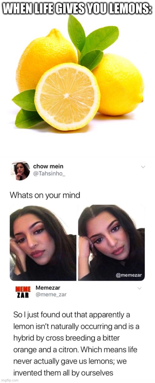 Lemons | WHEN LIFE GIVES YOU LEMONS: | image tagged in when lif gives you lemons,lemons,fruit,fruits,you had one job | made w/ Imgflip meme maker