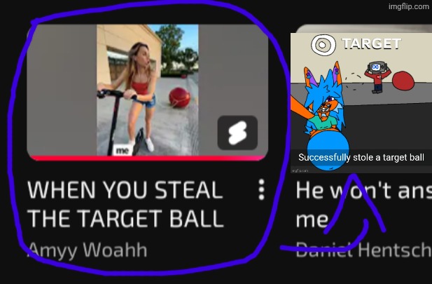 THE TARGET BALLS WON'T LEAVE ME ALONE | image tagged in gebrix,furry,target ball,target,shoplifting,gay | made w/ Imgflip meme maker