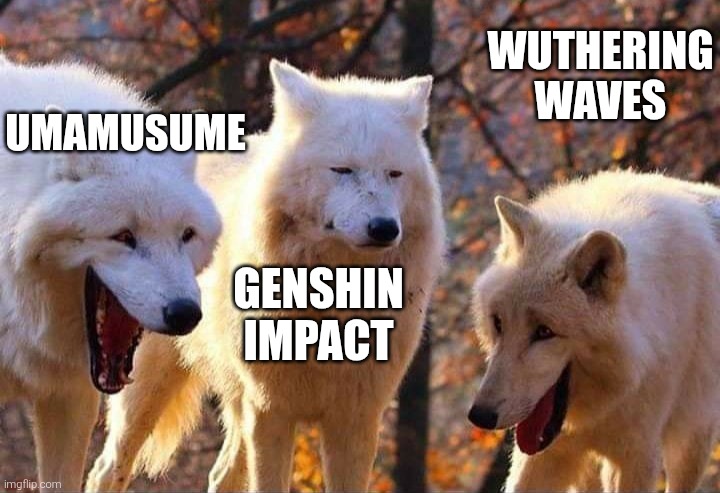 UMAMUSUME GENSHIN IMPACT WUTHERING WAVES | image tagged in laughing wolf | made w/ Imgflip meme maker