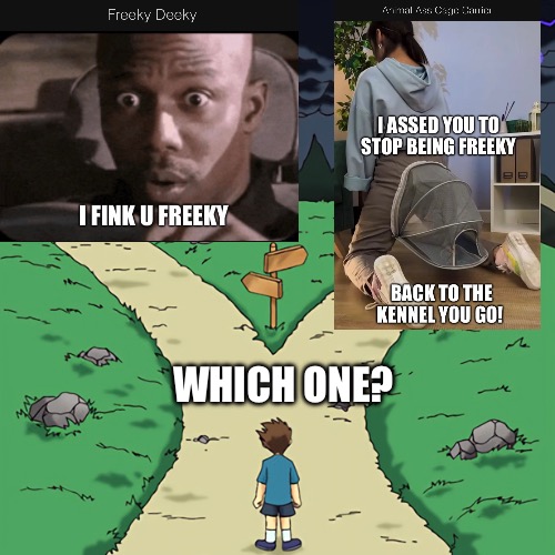 Two Memes Between | WHICH ONE? | image tagged in two castles | made w/ Imgflip meme maker