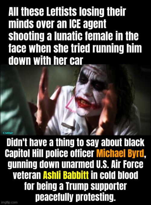 If the truth be told... | image tagged in ashli babbitt,minnesota,ice agents,tim walz | made w/ Imgflip meme maker