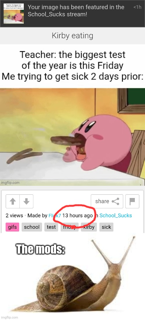 Mod me here asap istg | The mods: | image tagged in snail,memes,moderators,school,school sucks,slow | made w/ Imgflip meme maker