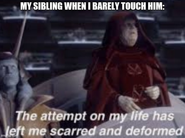 The attempt on my life has left me scarred and deformed | MY SIBLING WHEN I BARELY TOUCH HIM: | image tagged in the attempt on my life has left me scarred and deformed | made w/ Imgflip meme maker