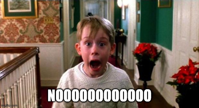 Kevin Home Alone | NOOOOOOOOOOOO | image tagged in kevin home alone | made w/ Imgflip meme maker