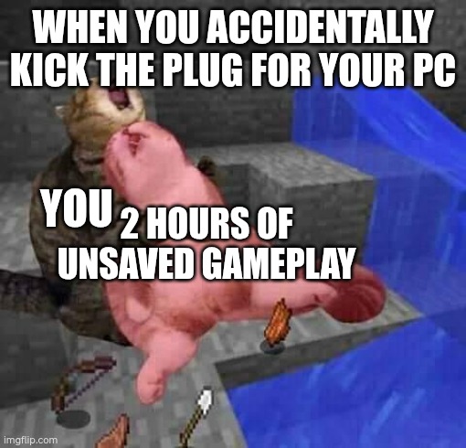 Dead minecraft cat meme | WHEN YOU ACCIDENTALLY KICK THE PLUG FOR YOUR PC; YOU; 2 HOURS OF UNSAVED GAMEPLAY | image tagged in dead minecraft cat meme | made w/ Imgflip meme maker