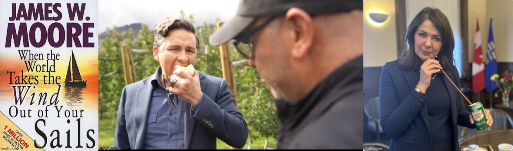 Canadian politics | image tagged in political meme | made w/ Imgflip meme maker