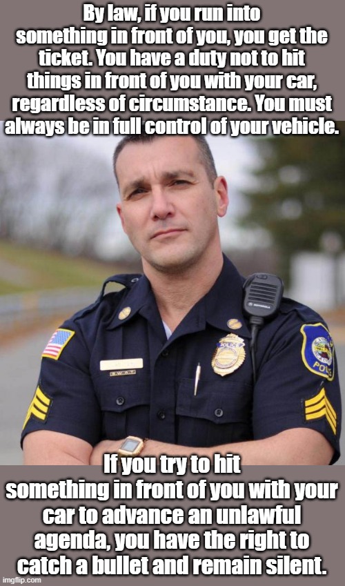 The way it works, if you don't like a law, you work within the system to change it, you don't try to hurt people doing their job | By law, if you run into something in front of you, you get the ticket. You have a duty not to hit things in front of you with your car, regardless of circumstance. You must always be in full control of your vehicle. If you try to hit something in front of you with your car to advance an unlawful agenda, you have the right to catch a bullet and remain silent. | image tagged in cop | made w/ Imgflip meme maker