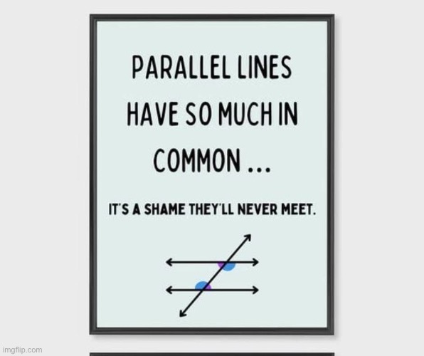 Maths pun | image tagged in parallel lines,maths,bad pun | made w/ Imgflip meme maker