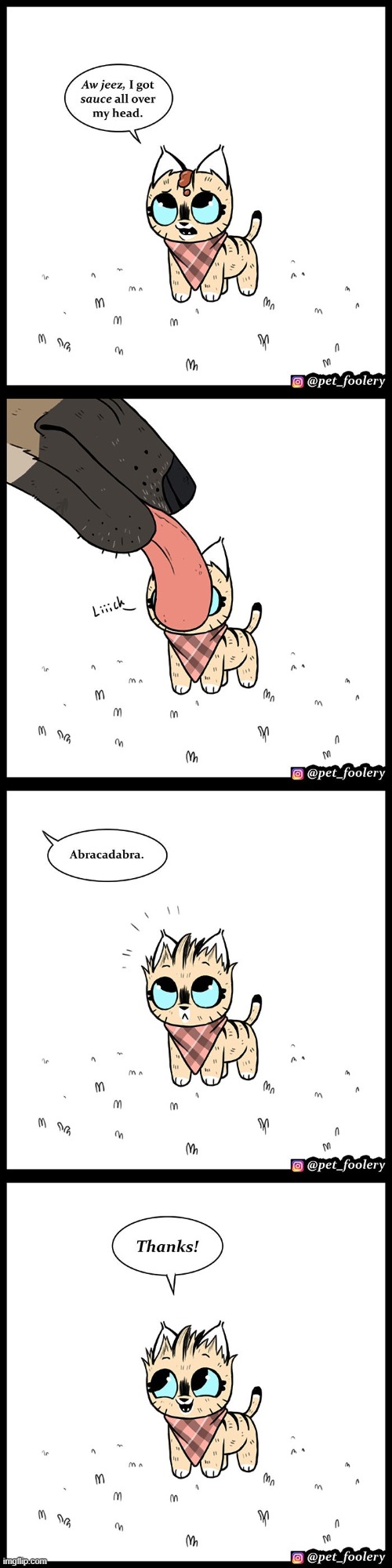 image tagged in cat,sauce,head,dog,lick,abracadabra | made w/ Imgflip meme maker