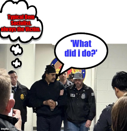Always the victim never responsible for their actions. DEM Socialist be thy name | Typical Dem Socialist, always the Victim. 'What did i do?' | made w/ Imgflip meme maker