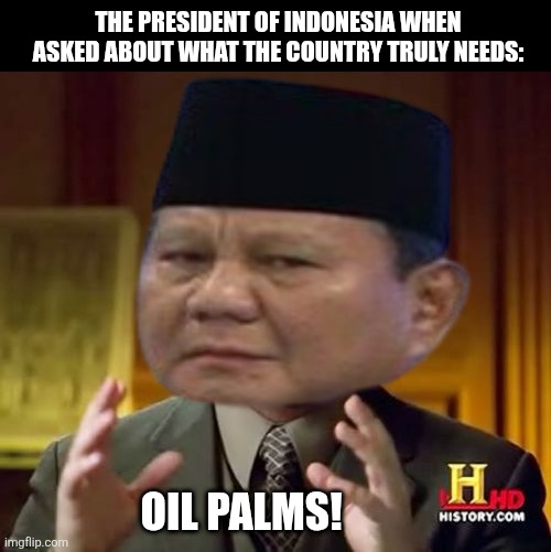 Ancient Aliens Meme | THE PRESIDENT OF INDONESIA WHEN ASKED ABOUT WHAT THE COUNTRY TRULY NEEDS:; OIL PALMS! | image tagged in memes,corrupt,fraud | made w/ Imgflip meme maker