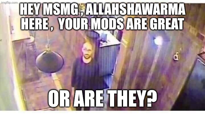 vsauce looking at camera | HEY MSMG , ALLAHSHAWARMA HERE ,  YOUR MODS ARE GREAT; OR ARE THEY? | image tagged in vsauce looking at camera | made w/ Imgflip meme maker