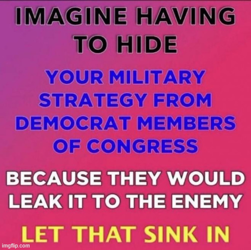dems hate America | image tagged in dems hate america | made w/ Imgflip meme maker