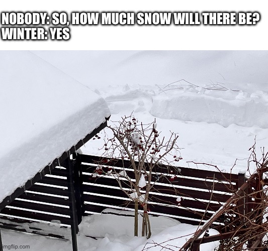 Did you get the snow this year? | NOBODY: SO, HOW MUCH SNOW WILL THERE BE?
WINTER: YES | image tagged in winter,memes,snow | made w/ Imgflip meme maker