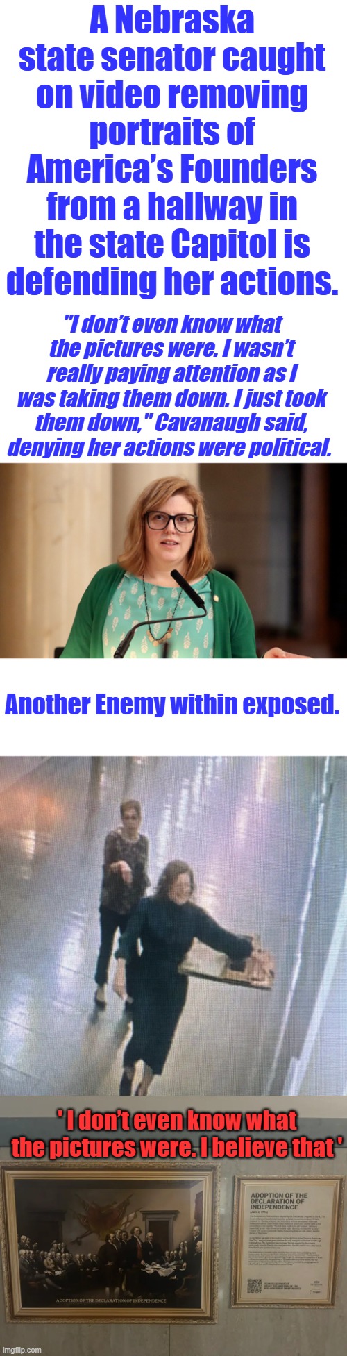 They keep exposing themselves, carry on dudes. | A Nebraska state senator caught on video removing portraits of America’s Founders from a hallway in the state Capitol is defending her actions. "I don’t even know what the pictures were. I wasn’t really paying attention as I was taking them down. I just took them down," Cavanaugh said, denying her actions were political. Another Enemy within exposed. ' I don’t even know what the pictures were. I believe that ' | made w/ Imgflip meme maker