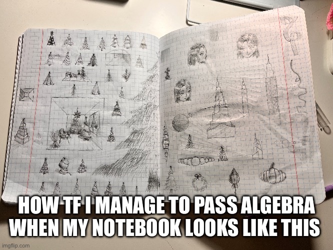 Same with geometry | HOW TF I MANAGE TO PASS ALGEBRA WHEN MY NOTEBOOK LOOKS LIKE THIS | image tagged in math,doodle,how | made w/ Imgflip meme maker