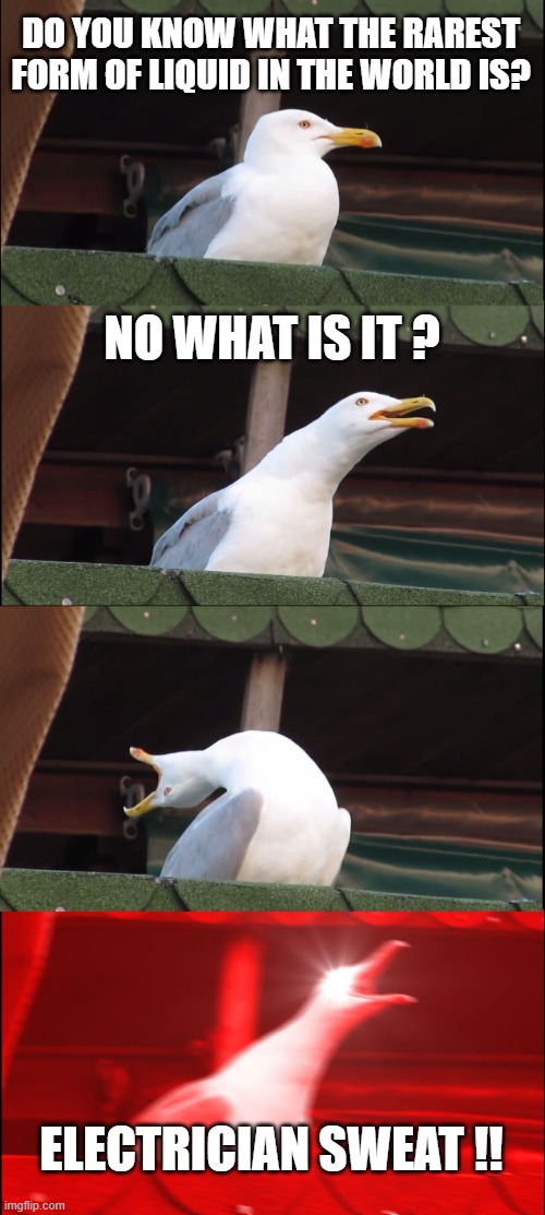 Inhaling Seagull | DO YOU KNOW WHAT THE RAREST FORM OF LIQUID IN THE WORLD IS? NO WHAT IS IT ? ELECTRICIAN SWEAT !! | image tagged in memes,inhaling seagull | made w/ Imgflip meme maker