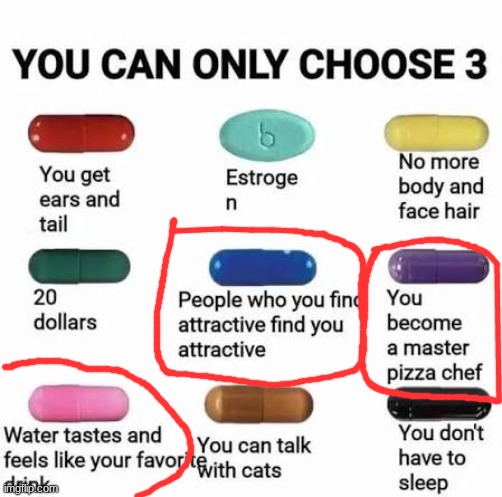 I'll get rich if I sell the pizza, uh...I have my vanity, and I barely ever drink water | image tagged in you can only choose 3 | made w/ Imgflip meme maker