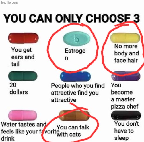 Meow meow meow mrrrrp mrow :3 | image tagged in you can only choose 3 | made w/ Imgflip meme maker