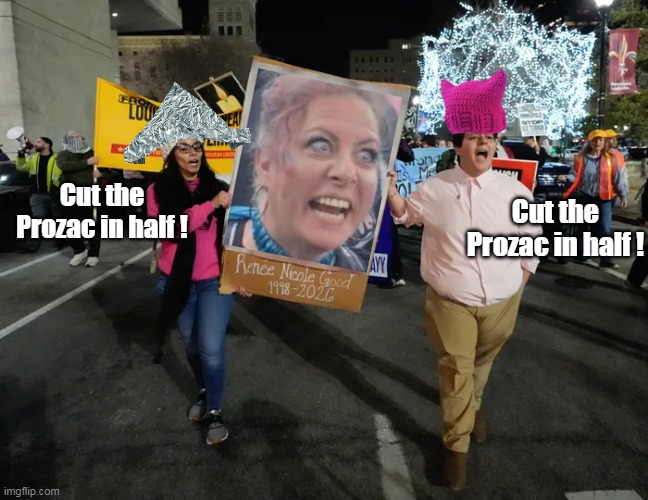 No wonder they took two of Renee's kids away | Cut the Prozac in half ! Cut the Prozac in half ! | image tagged in renee good prozac meme | made w/ Imgflip meme maker