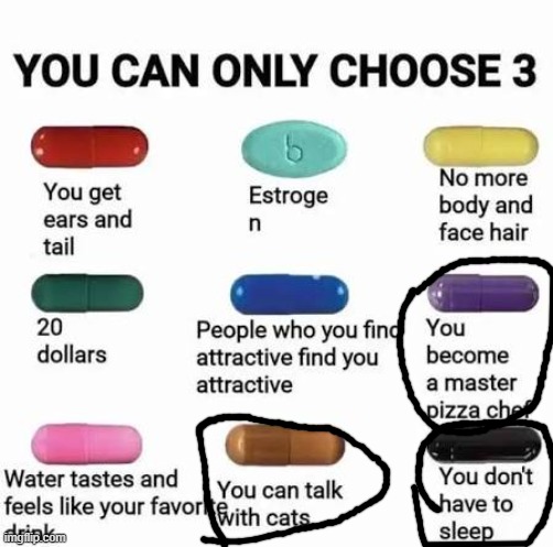 you can only choose 3 | image tagged in you can only choose 3 | made w/ Imgflip meme maker