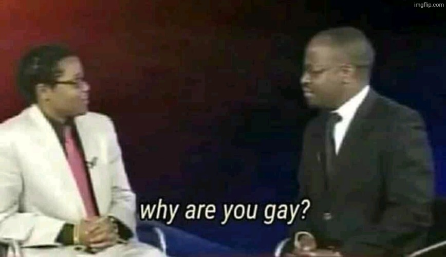 Why are you gay? | image tagged in why are you gay | made w/ Imgflip meme maker