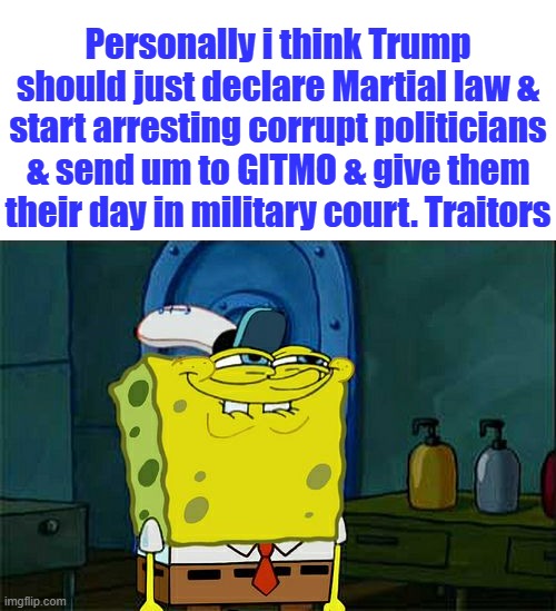 NO one absolutely no ones above the law, before the snivel begins, BOTH PARTIES its obvious which  ones in both parties | Personally i think Trump should just declare Martial law & start arresting corrupt politicians & send um to GITMO & give them their day in military court. Traitors | image tagged in memes,don't you squidward | made w/ Imgflip meme maker