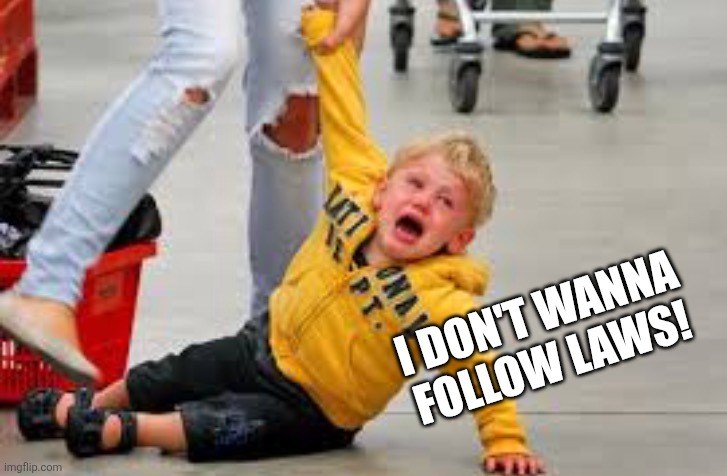 Tantrum store | I DON'T WANNA FOLLOW LAWS! | image tagged in tantrum store | made w/ Imgflip meme maker
