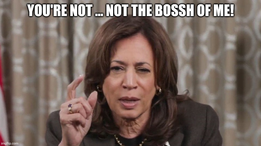 Drunk Kamala Wisdom | YOU'RE NOT ... NOT THE BOSSH OF ME! | image tagged in drunk kamala wisdom | made w/ Imgflip meme maker