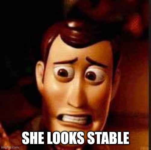 Yikes | SHE LOOKS STABLE | image tagged in yikes | made w/ Imgflip meme maker