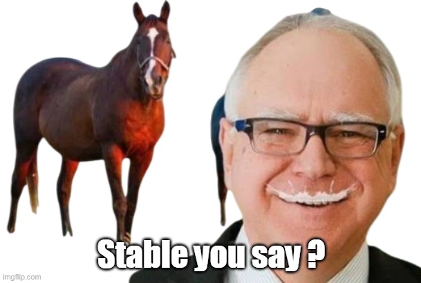 Stable you say ? | made w/ Imgflip meme maker