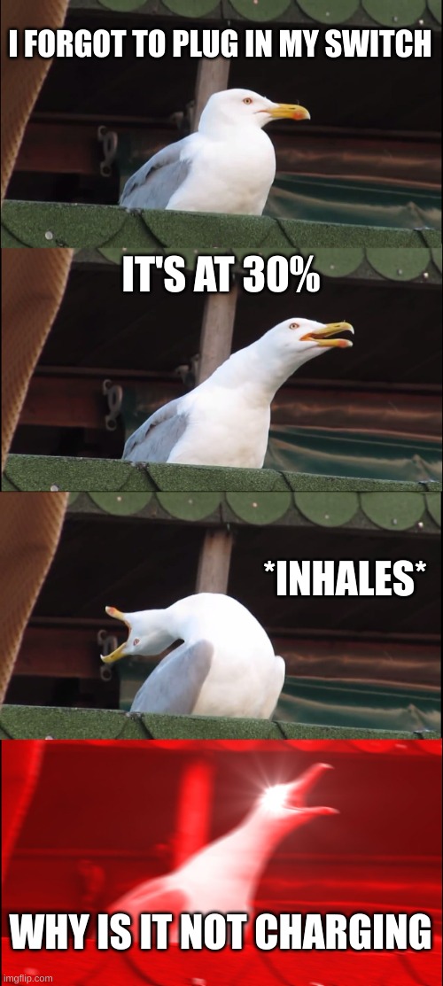 Inhaling Seagull | I FORGOT TO PLUG IN MY SWITCH; IT'S AT 30%; *INHALES*; WHY IS IT NOT CHARGING | image tagged in memes,inhaling seagull | made w/ Imgflip meme maker
