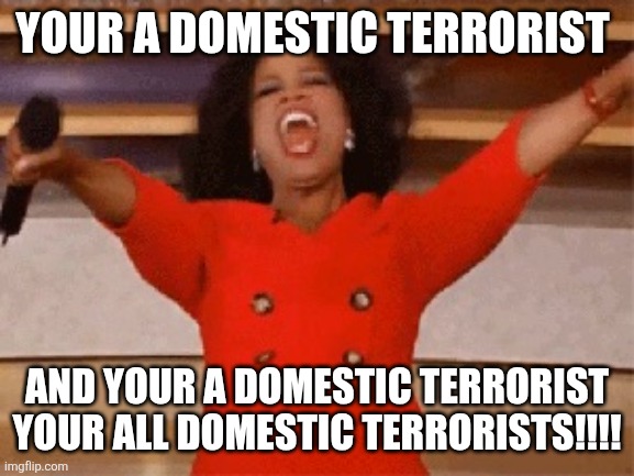 Obey you filthy citizens | YOUR A DOMESTIC TERRORIST; AND YOUR A DOMESTIC TERRORIST YOUR ALL DOMESTIC TERRORISTS!!!! | image tagged in opera,democrats,republicans,democrat,republican,government | made w/ Imgflip meme maker